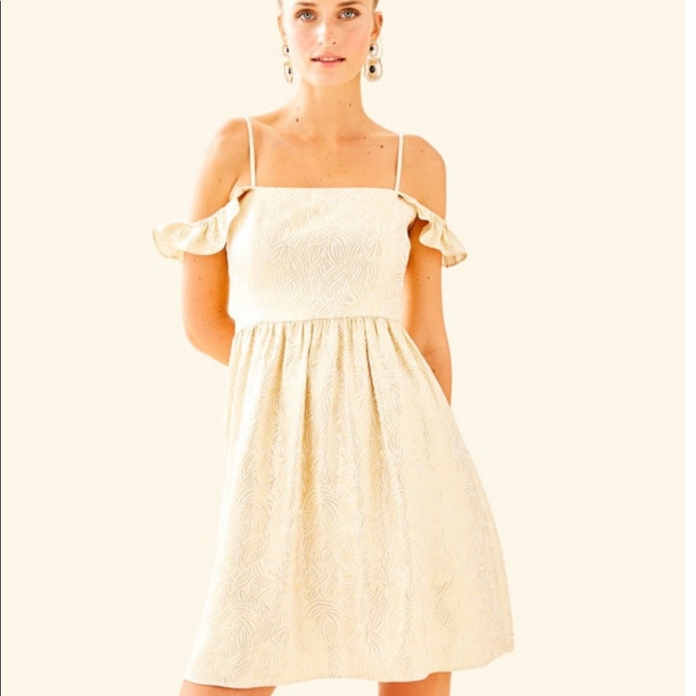 Kariana Silk Dress- NEW- size 4